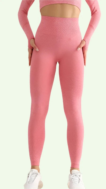 Elastic Seamless High Waist Legging