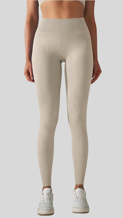 Solid Seamless Quick Dry Gym Leggings - Berry's Store