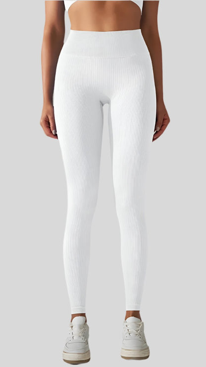 Solid Seamless Quick Dry Gym Leggings - Berry's Store